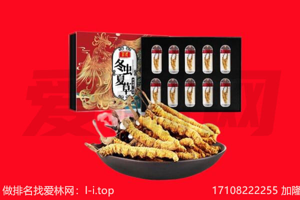 合作市回收虫草.jpg